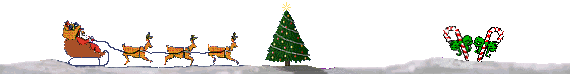 PAPA NOEL Y SU TRINEO