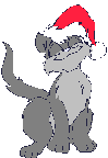GATO NAVIEO