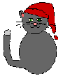 OTRO GATO NAVIDEO