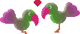 PAJAROS ENAMORADOS