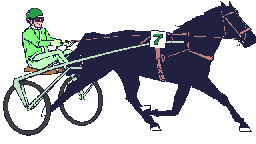 CABALLO