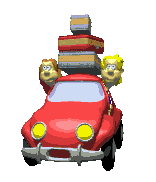 COCHE