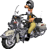 MOTORISTA